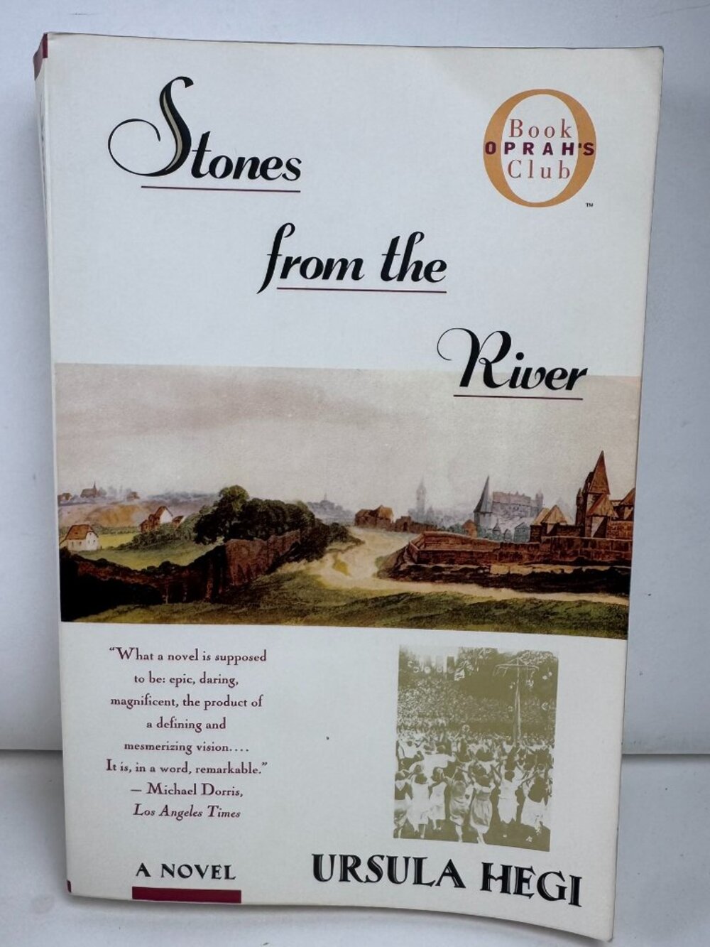 Stones from the River by Ursula Hegi Paperback Oprah Book Club 9780684844770